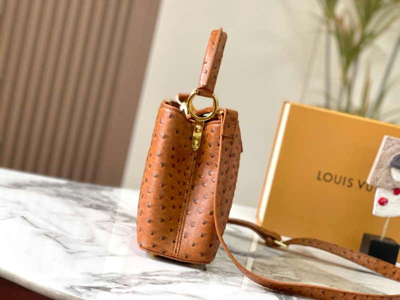 LV Capucines Bags